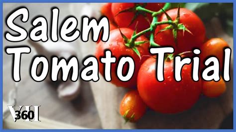 salem tomato trial